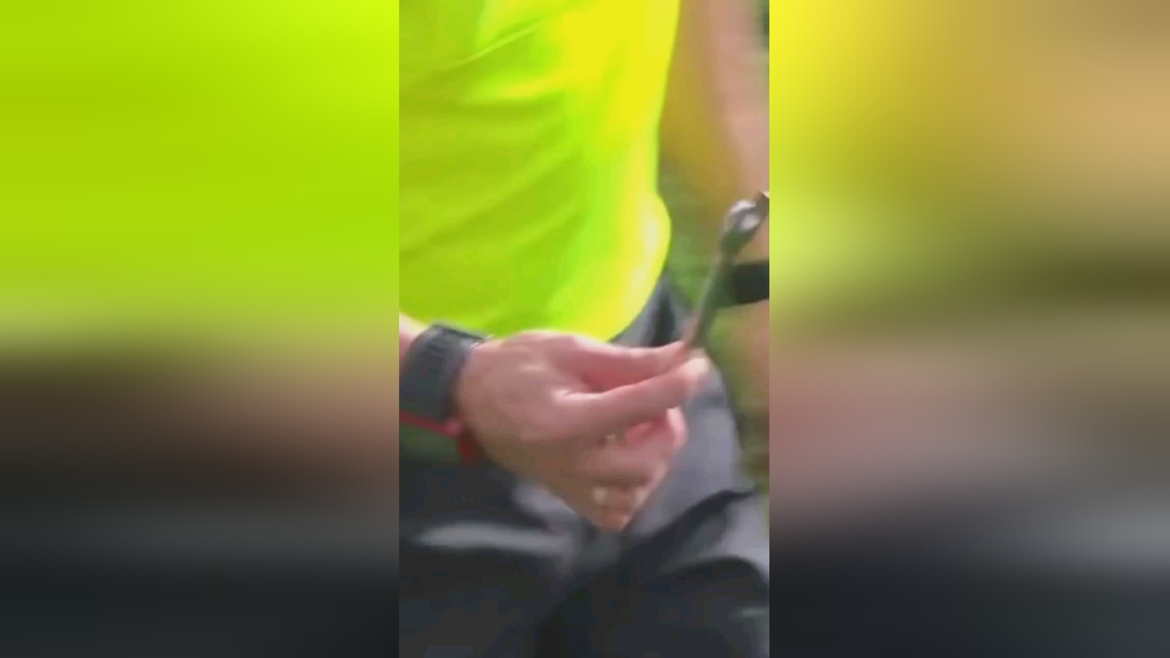 手以